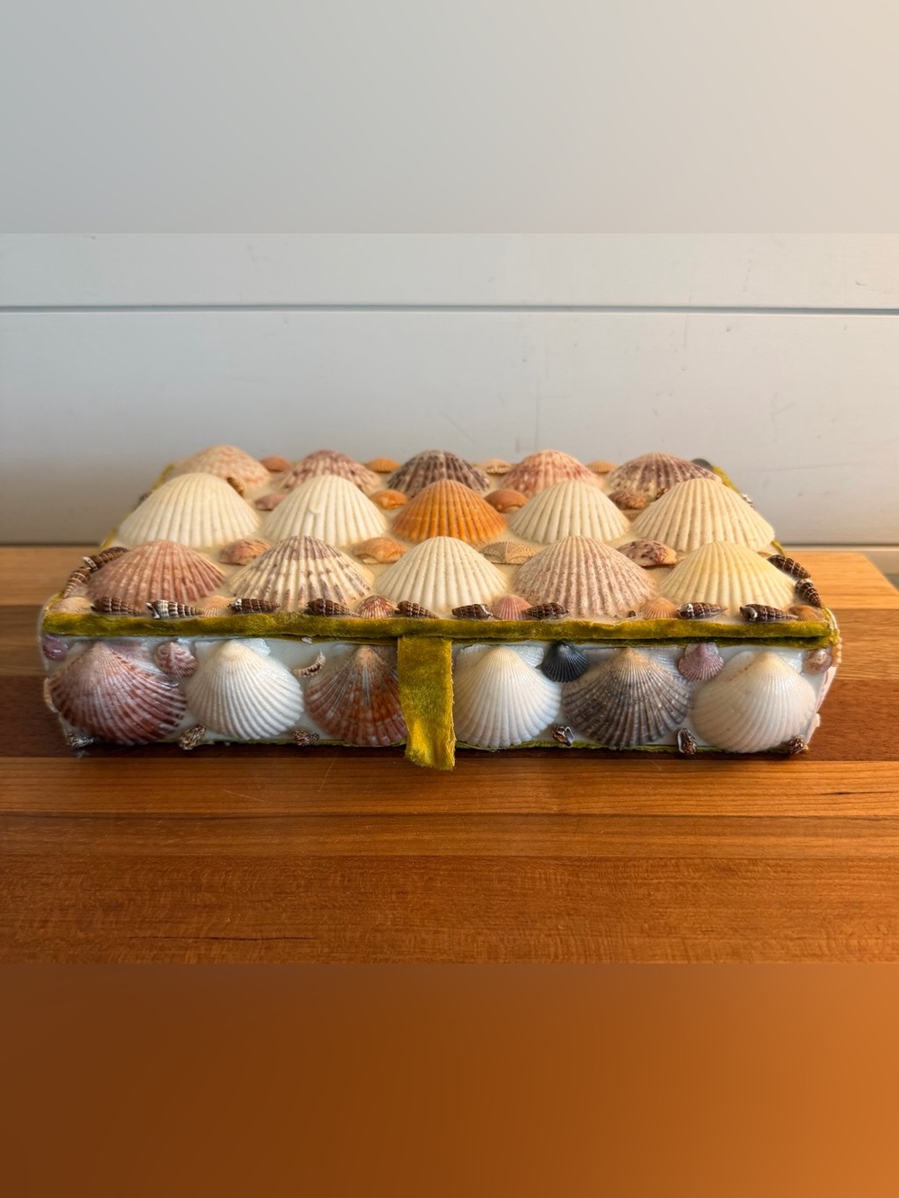Vintage Sea Shell Lidded Box Velvet Lining